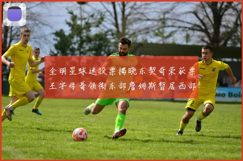 全明星球迷投票揭晓东契奇荣获票王字母哥领衔东部詹姆斯暂居西部第九