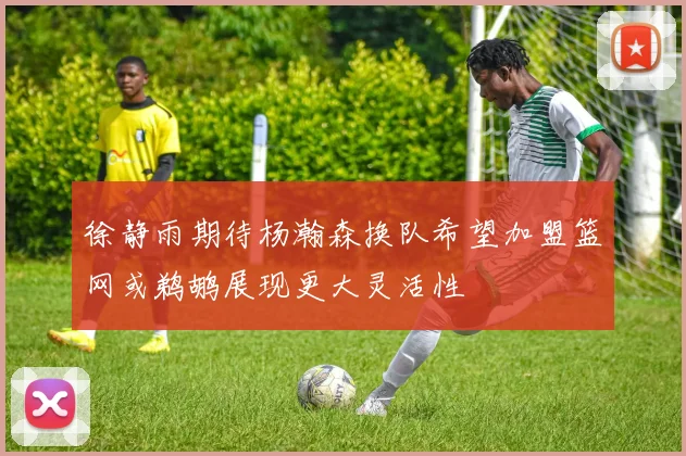 徐静雨期待杨瀚森换队希望加盟篮网或鹈鹕展现更大灵活性